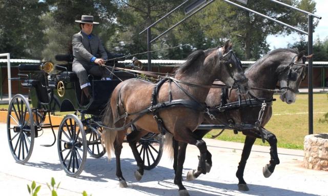 Coche de caballos